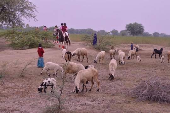 Tour image 8