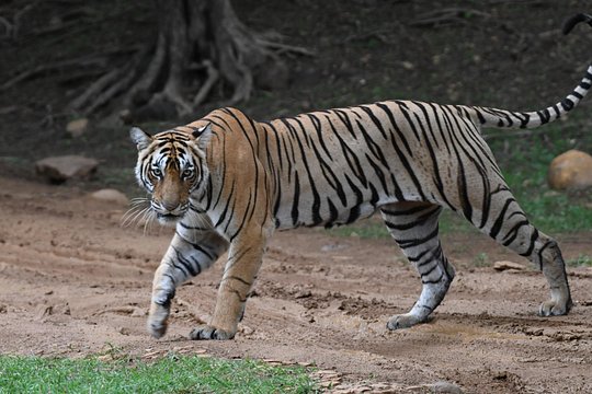 Tour image 1